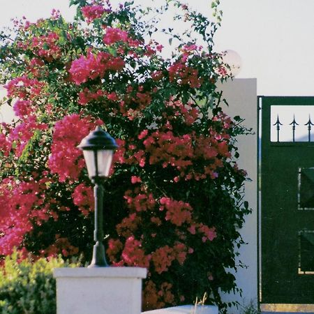 Beachfront Villa Rhodes Seashell Gennadi Eksteriør bilde