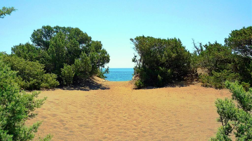 Beachfront Villa Rhodes Seashell Gennadi Eksteriør bilde